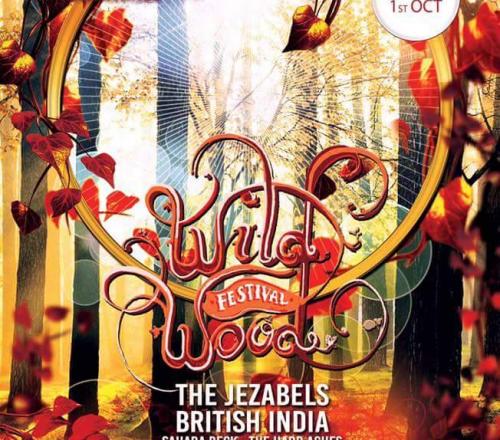 Jeremiah Johnson Wild Wood Festival
